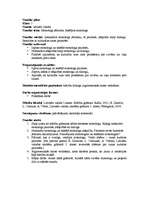 Konspekts 'Četru stundu plāns 5.klasei par tēmu "Saziņa"', 3.