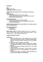 Konspekts 'Četru stundu plāns 5.klasei par tēmu "Saziņa"', 4.