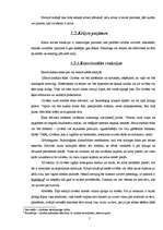 Referāts 'Krīzes centri Latvijā', 7.