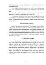 Referāts 'Krīzes centri Latvijā', 8.