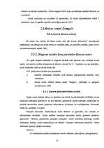 Referāts 'Krīzes centri Latvijā', 19.