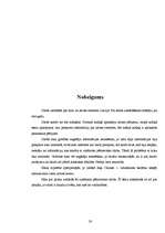 Referāts 'Krīzes centri Latvijā', 30.