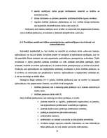 Diplomdarbs 'Neatkarīgo revidentu profesionālā ētika', 22.