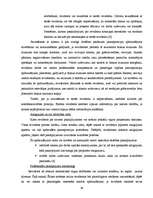 Diplomdarbs 'Neatkarīgo revidentu profesionālā ētika', 29.