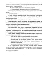 Diplomdarbs 'Neatkarīgo revidentu profesionālā ētika', 30.