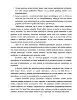 Diplomdarbs 'Neatkarīgo revidentu profesionālā ētika', 33.