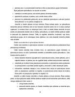 Diplomdarbs 'Neatkarīgo revidentu profesionālā ētika', 36.