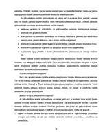 Diplomdarbs 'Neatkarīgo revidentu profesionālā ētika', 39.