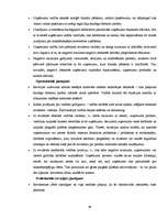 Diplomdarbs 'Neatkarīgo revidentu profesionālā ētika', 46.