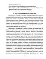 Diplomdarbs 'Neatkarīgo revidentu profesionālā ētika', 50.