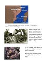 Referāts 'Latimērija', 4.