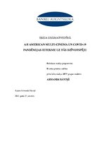 Eseja 'Finansiālais pārskats par uzņēmumu "American Multi Cinema"', 1.