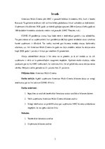 Eseja 'Finansiālais pārskats par uzņēmumu "American Multi Cinema"', 3.