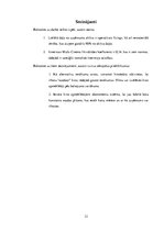 Eseja 'Finansiālais pārskats par uzņēmumu "American Multi Cinema"', 12.