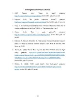 Eseja 'Finansiālais pārskats par uzņēmumu "American Multi Cinema"', 13.