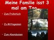 Prezentācija 'Essen und Trinken in meiner Familie', 2.