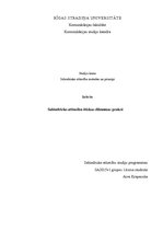 Referāts 'Sabiedrisko attiecību ētikas dilemmas praksē', 1.