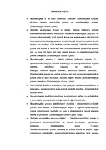 Referāts 'Tiesiskā aizsardzība maksātnespējas procesā', 2.