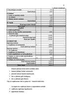 Referāts 'Gada pārskata sastādīšanas vispārīgie principi', 13.