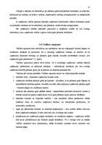 Referāts 'Gada pārskata sastādīšanas vispārīgie principi', 27.