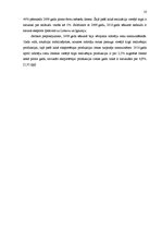 Referāts 'Apstrādes rūpniecība', 10.