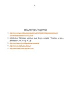 Referāts 'Pārvadājumu organizēšana', 16.