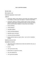 Konspekts 'Sporta nodarbības norise pirmsskolā', 2.