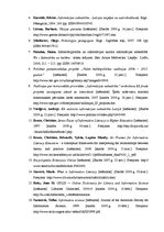 Referāts 'Informācijpratības loma zināšanu sabiedrības kontekstā', 12.