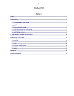 Referāts '"Rīgas Balzama" pozicionēšana Lielbritānijas tirgū', 2.