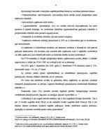 Referāts '"Rīgas Balzama" pozicionēšana Lielbritānijas tirgū', 8.