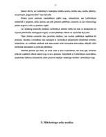 Referāts '"Rīgas Balzama" pozicionēšana Lielbritānijas tirgū', 11.