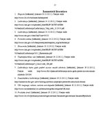 Referāts '"Rīgas Balzama" pozicionēšana Lielbritānijas tirgū', 15.