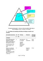 Referāts 'Uzņēmuma darba aizsardzības dokumentācijas rokasgrāmata', 15.