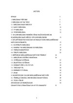 Referāts 'Produktu un pakalpojumu reklamēšanas metodes tīmeklī', 1.