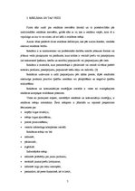 Referāts 'Produktu un pakalpojumu reklamēšanas metodes tīmeklī', 6.