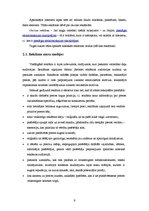 Referāts 'Produktu un pakalpojumu reklamēšanas metodes tīmeklī', 8.