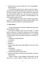 Referāts 'Produktu un pakalpojumu reklamēšanas metodes tīmeklī', 9.