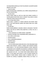 Referāts 'Produktu un pakalpojumu reklamēšanas metodes tīmeklī', 14.