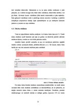 Referāts 'Produktu un pakalpojumu reklamēšanas metodes tīmeklī', 21.