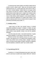 Referāts 'Produktu un pakalpojumu reklamēšanas metodes tīmeklī', 24.