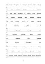 Prakses atskaite 'Prakses atskaite SIA "XXX"', 3.