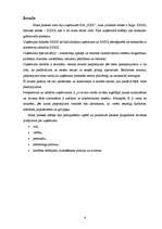 Prakses atskaite 'Prakses atskaite SIA "XXX"', 6.