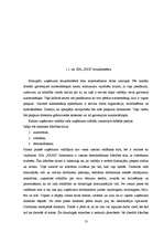 Prakses atskaite 'Prakses atskaite SIA "XXX"', 13.