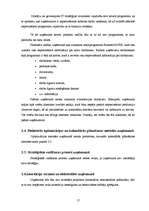 Prakses atskaite 'Prakses atskaite SIA "XXX"', 17.