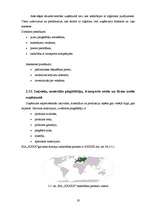 Prakses atskaite 'Prakses atskaite SIA "XXX"', 19.