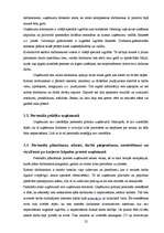 Prakses atskaite 'Prakses atskaite SIA "XXX"', 22.