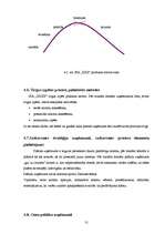 Prakses atskaite 'Prakses atskaite SIA "XXX"', 31.