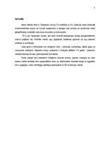 Referāts 'Transports', 3.