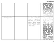 Konspekts 'Tematiskais plāns', 11.