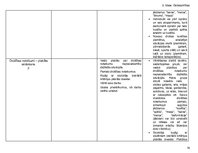 Konspekts 'Tematiskais plāns', 16.